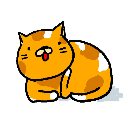 ちょいイラ中のネコ
